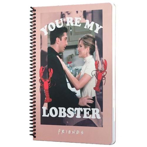 Mabbels Spiralli Defter Friends Youre My Lobster Pembe 80 YP 17x24 DFT-388463