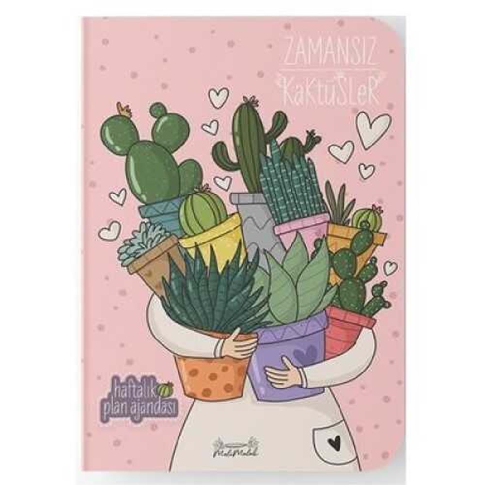 Melimelek Kaktüs Zamansız Kaktüs Sukulent 15x21,5