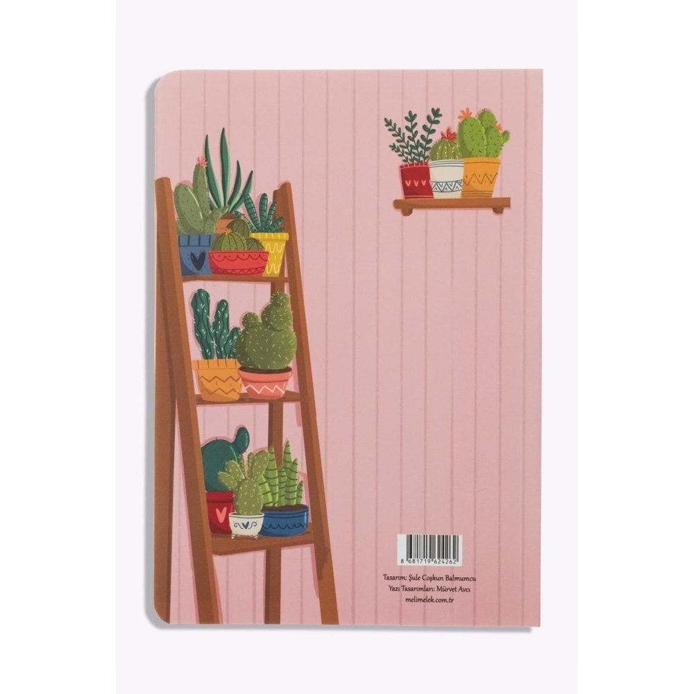 Melimelek Kaktüs Zamansız Kaktüs Euphorbia 15x21,5