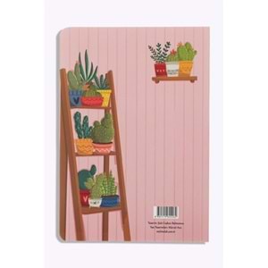 Melimelek Kaktüs Zamansız Kaktüs Euphorbia 15x21,5