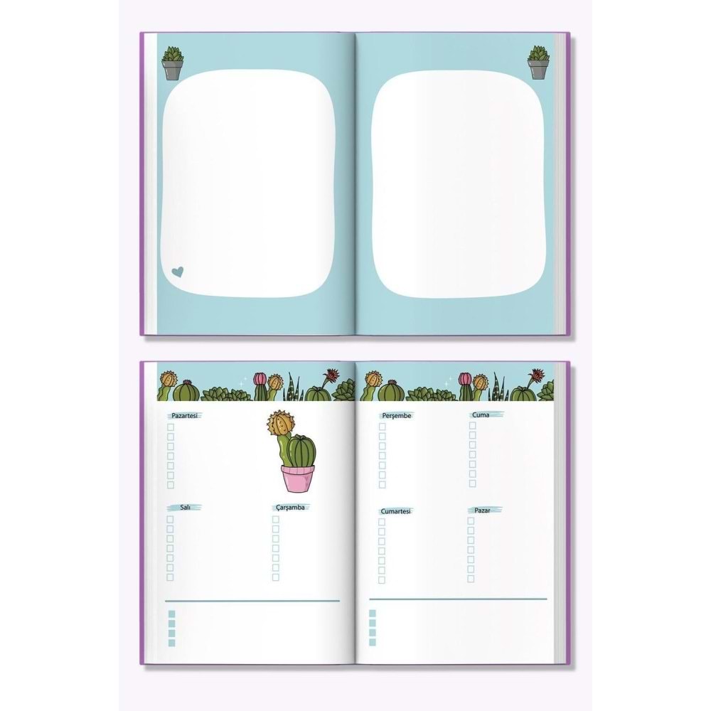 Melimelek Kaktüs Zamansız Kaktüs Euphorbia 15x21,5