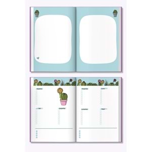 Melimelek Kaktüs Zamansız Kaktüs Euphorbia 15x21,5