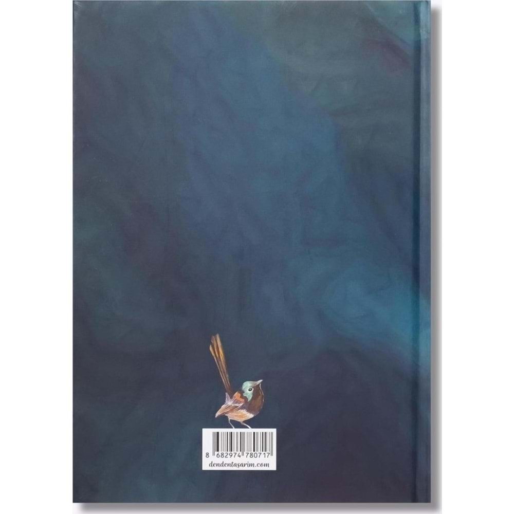 Denden Sert Kapaklı Defter Ayla Acet Yaldız Seri Zamansız 17x24