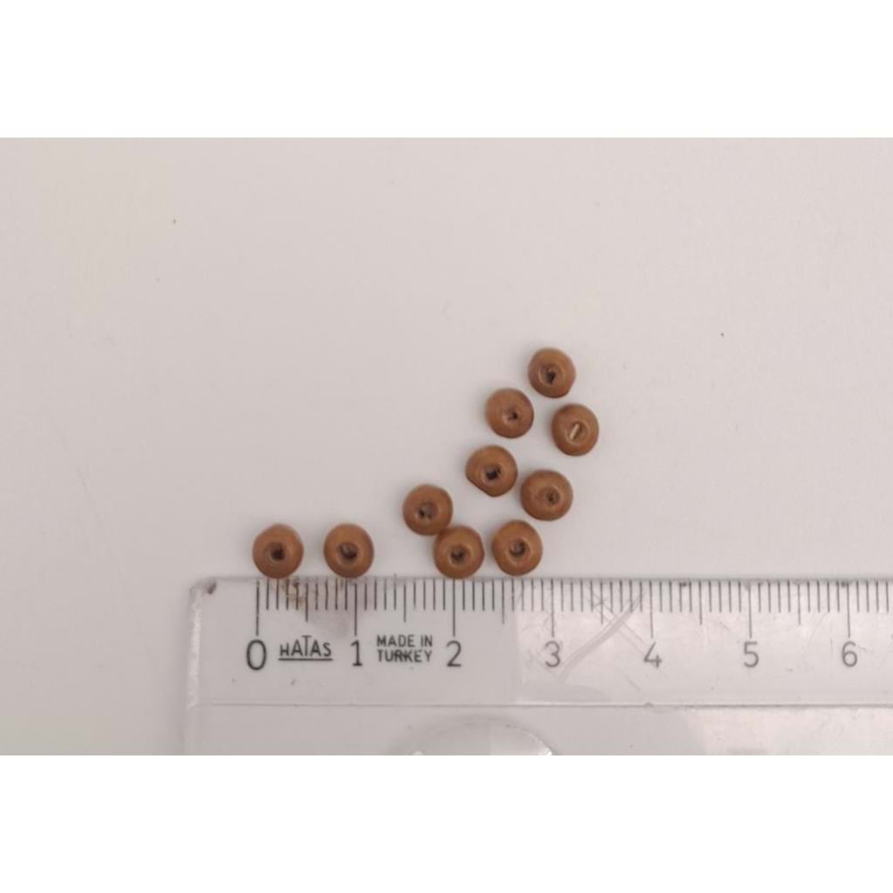 Çanta Aksesuar 4mm 10 Adet Ahşap Yuvarlak Boncuk