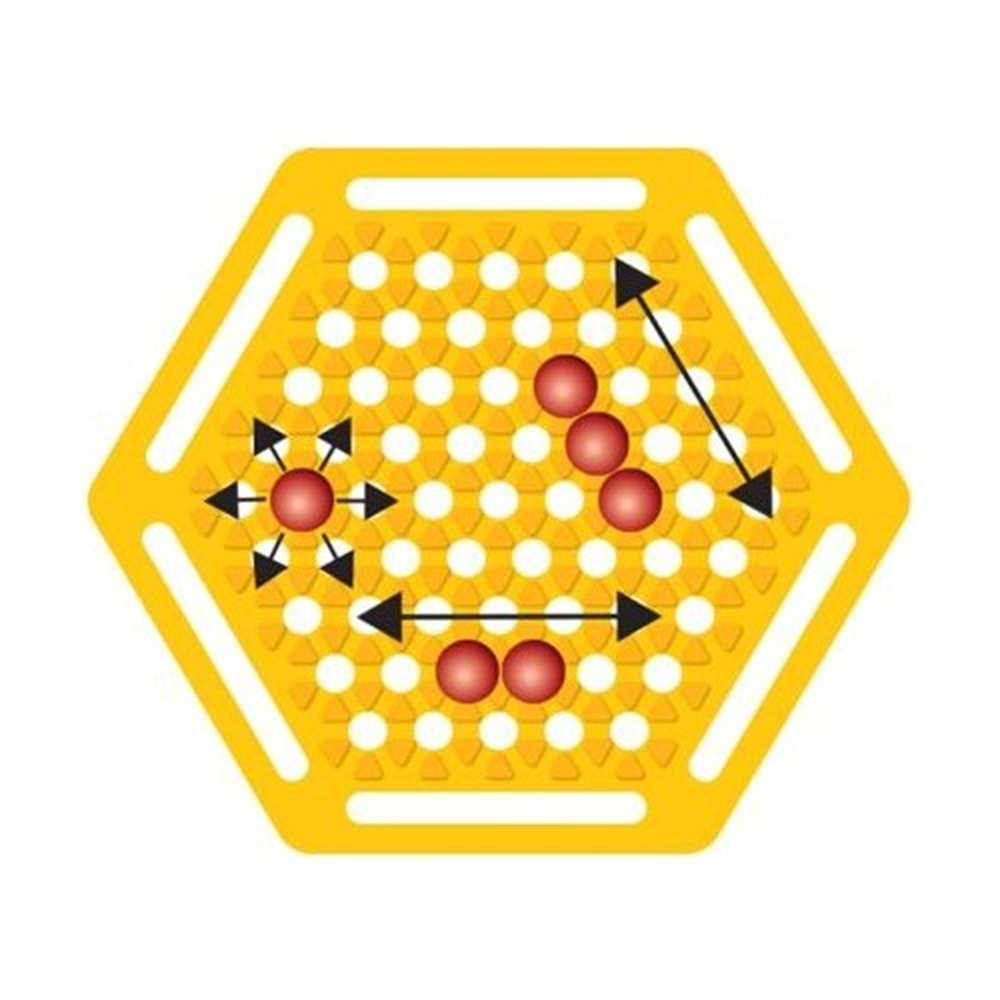 Newtoys Abalone Küçük (Abbalone)