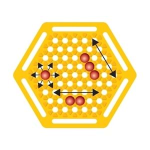 Newtoys Abalone Küçük (Abbalone)