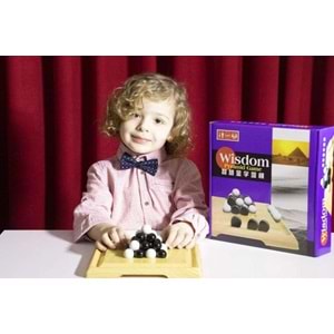 Newtoys Wisdom Piramit 0102