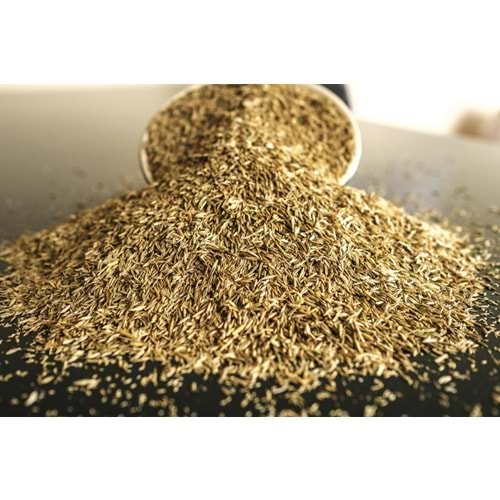 Çim Tohumu (1 Adet)