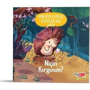 Dikkat Atölyesi Niçin Kırgınım? (Hikayelerle Duygular 4)