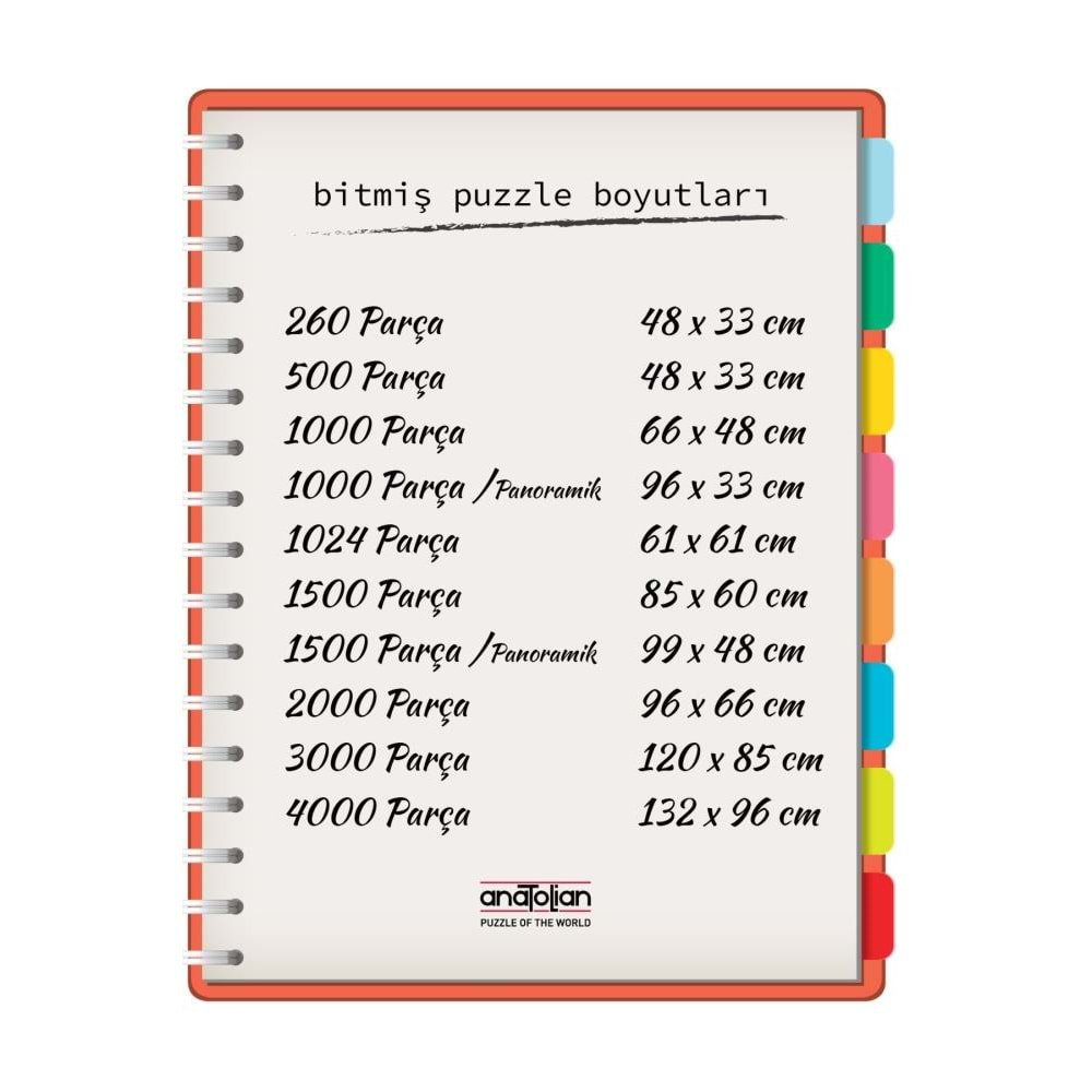 Anatolian Puzzle 500 Parça Gitar Ve Keman