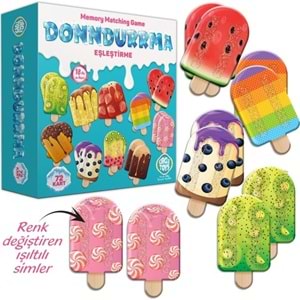 Circle Toys Dondurma Eşleştirme Ct023