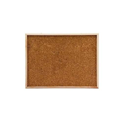 Simge Mantar Pano 45x60 0136