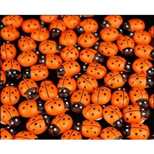 Uğur Böceği 12Mm Turuncu 100 Lü U3487