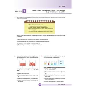 Dikkat Atölyesi 8. Sınıf Lgs Yeni Nesil Soru Bankası Seti