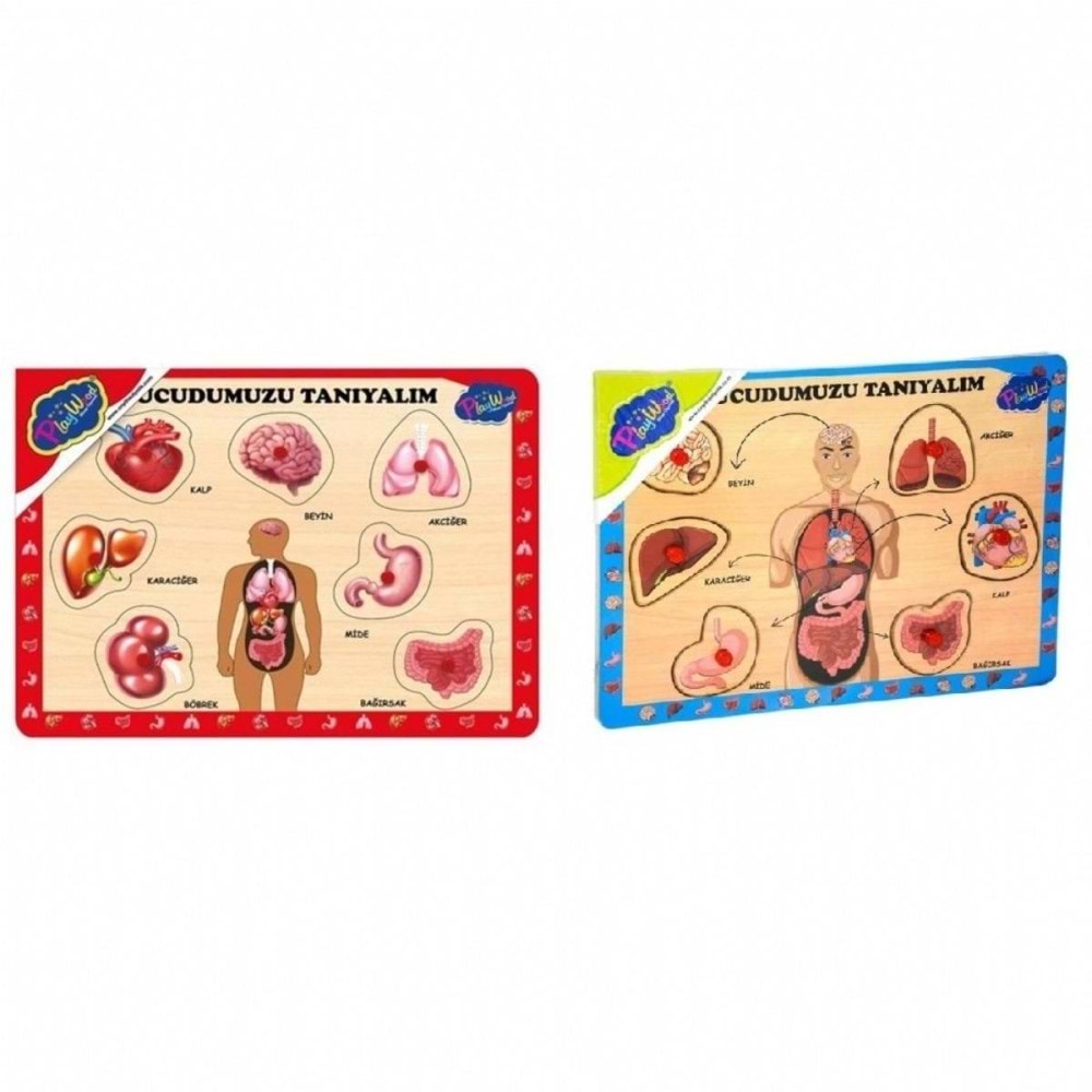 Playwood Ahşap Tutmalı Vücudumuzu Tanıyalım Ony-287/288