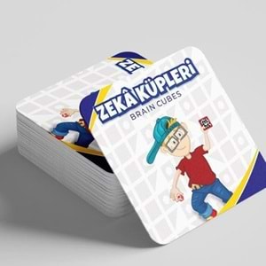 Moli Toys Zeka Küpleri