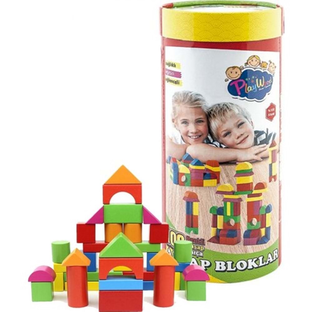 Playwood Silindir Kutulu 100 Parça Renkli Ahşap Bloklar