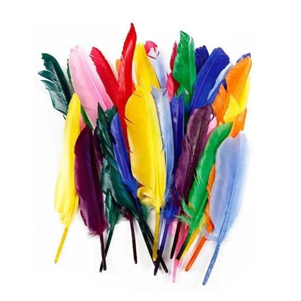 Neon KuşTüyü 20cm 10 lu HKD-109