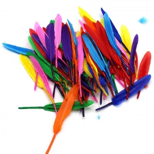 Kuş Tüyü 16cm 12 li HKD-108