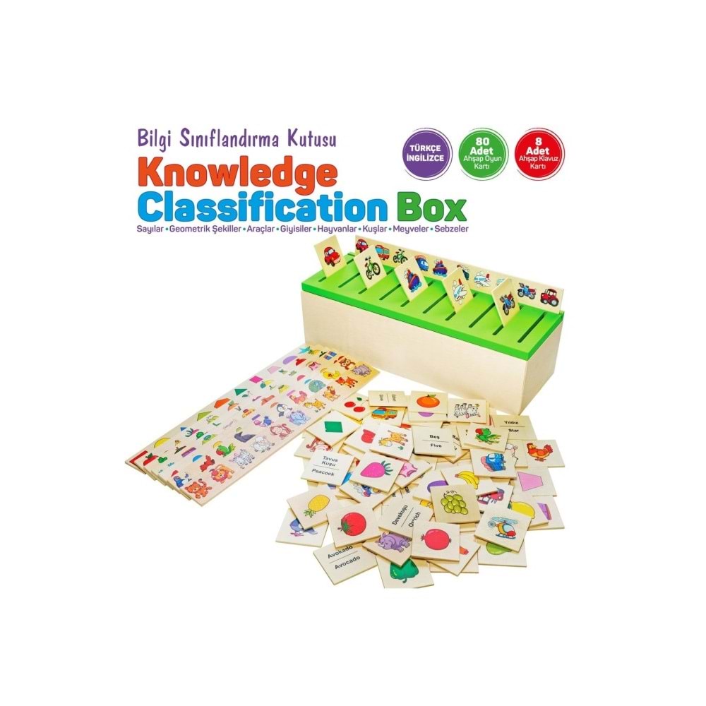Circle Toys Bilgi Sınıflandırma Kutusu CRCL-114