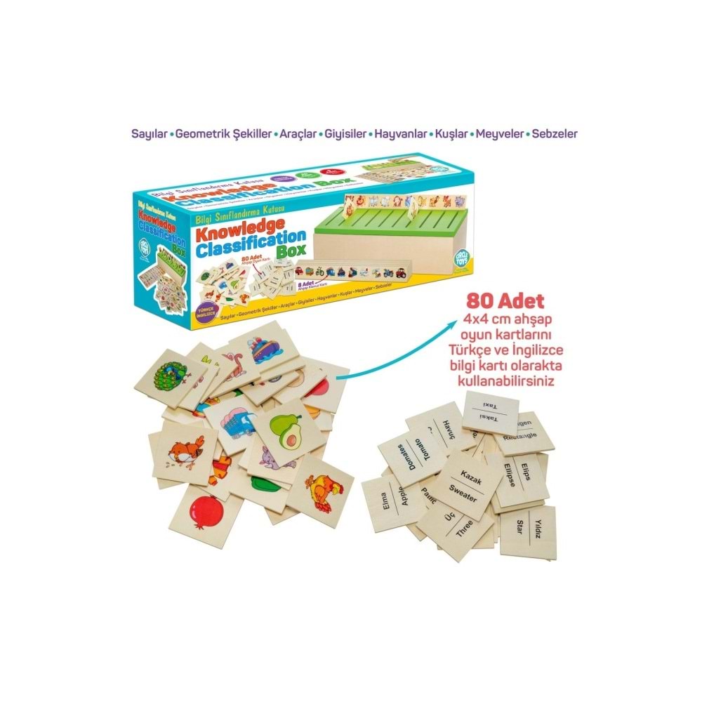 Circle Toys Bilgi Sınıflandırma Kutusu CRCL-114