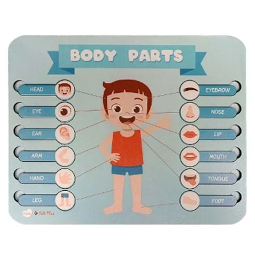 Gift Plus Ahşap Puzzle Body Parts 20x25