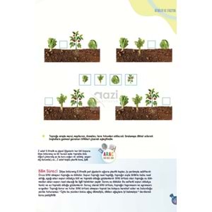 Mavi Kitap Bilimi Seviyorum