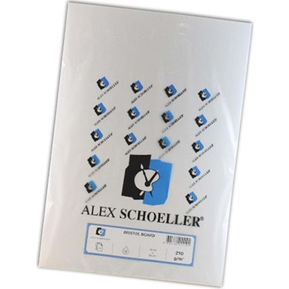 Alex A.Bristol Karton 210gr 35x50 100 lü ALX-0121