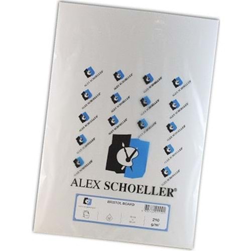 Alex Schoeller Bristol Karton 35x50 210 GR 100 Lü