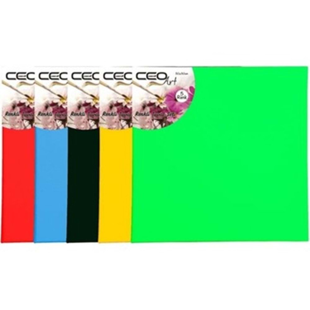 Ceoart 40X40 Renkli Tuval