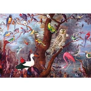 Ks Games Puzzle 2000 Fascinating Birds