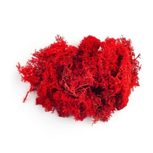 Jordania Yosun 3011 Kırmızı 10 Gr JE00-0503011 (Maket Ürünüdür)