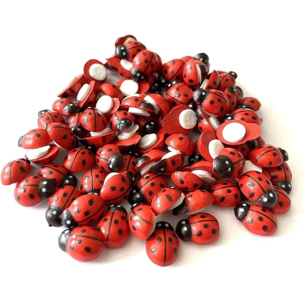 Hm Ahşap Uğur Böceği 25mm (1 Adet)