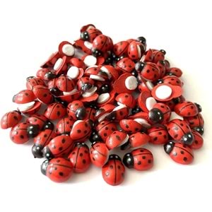 Hm Ahşap Uğur Böceği 12mm (1 Adet)