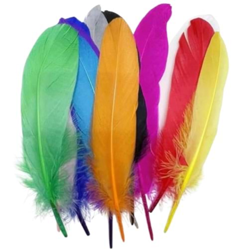 Dominic Tüy (1 Adet)