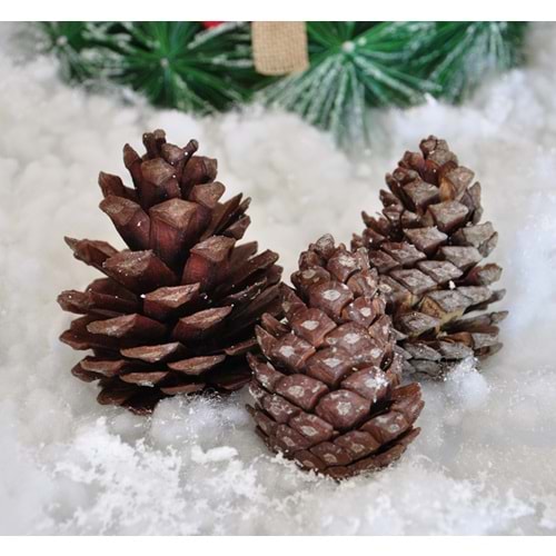 Kika Dekoratif Çam Kozalak Süs 250gr 2006608