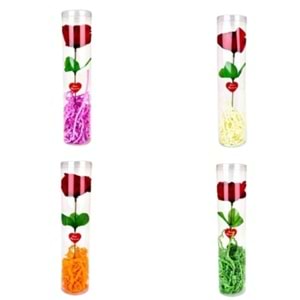 Asetat Kutulu Tekli Gül Silindir (1 Adet)