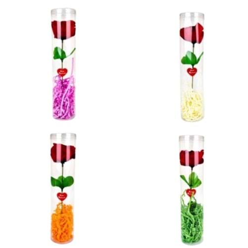 Asetat Kutulu Tekli Gül Silindir (1 Adet)