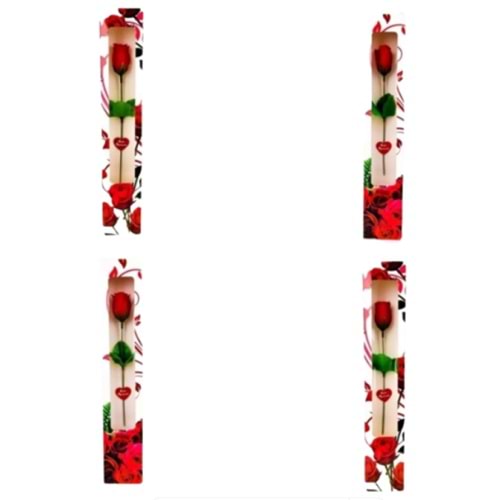 Karton Kutulu Tekli Gül