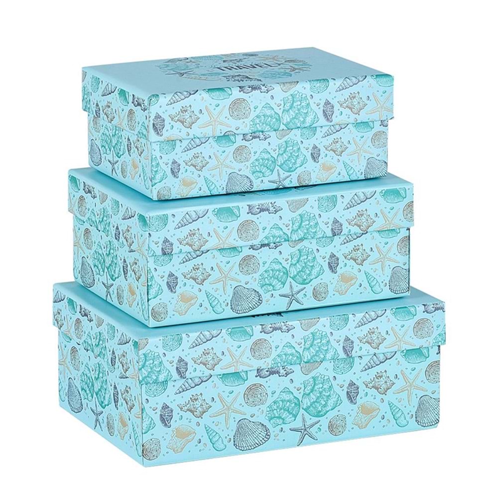 Mikro 4231 St. 3 Lü Küçük Kutu Seti Sea Life