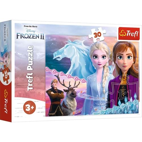 Vardem 30 Parca Frozen 2
