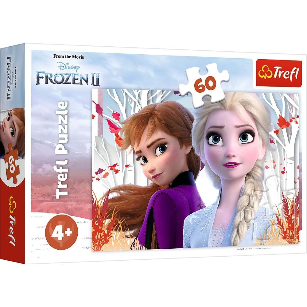 Vardem 60 Parca Frozen 2