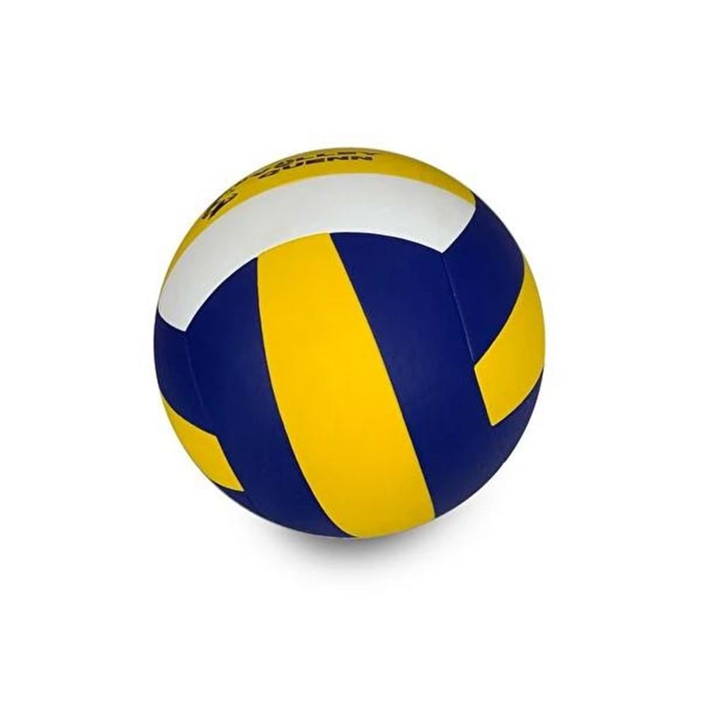 Voleybol Topu