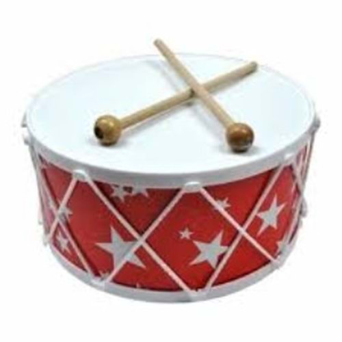 Aslan Renkli Davul Asl-08