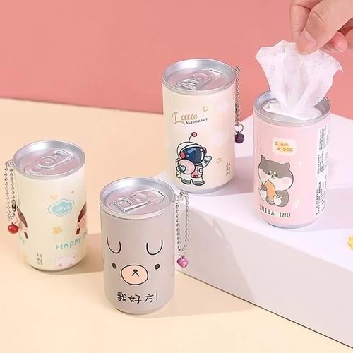 Kız Model Kutulu Islak Mendil (1 Adet)