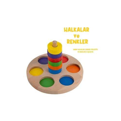 Bee Smart Renkli Halkalar ve Renkler BS701