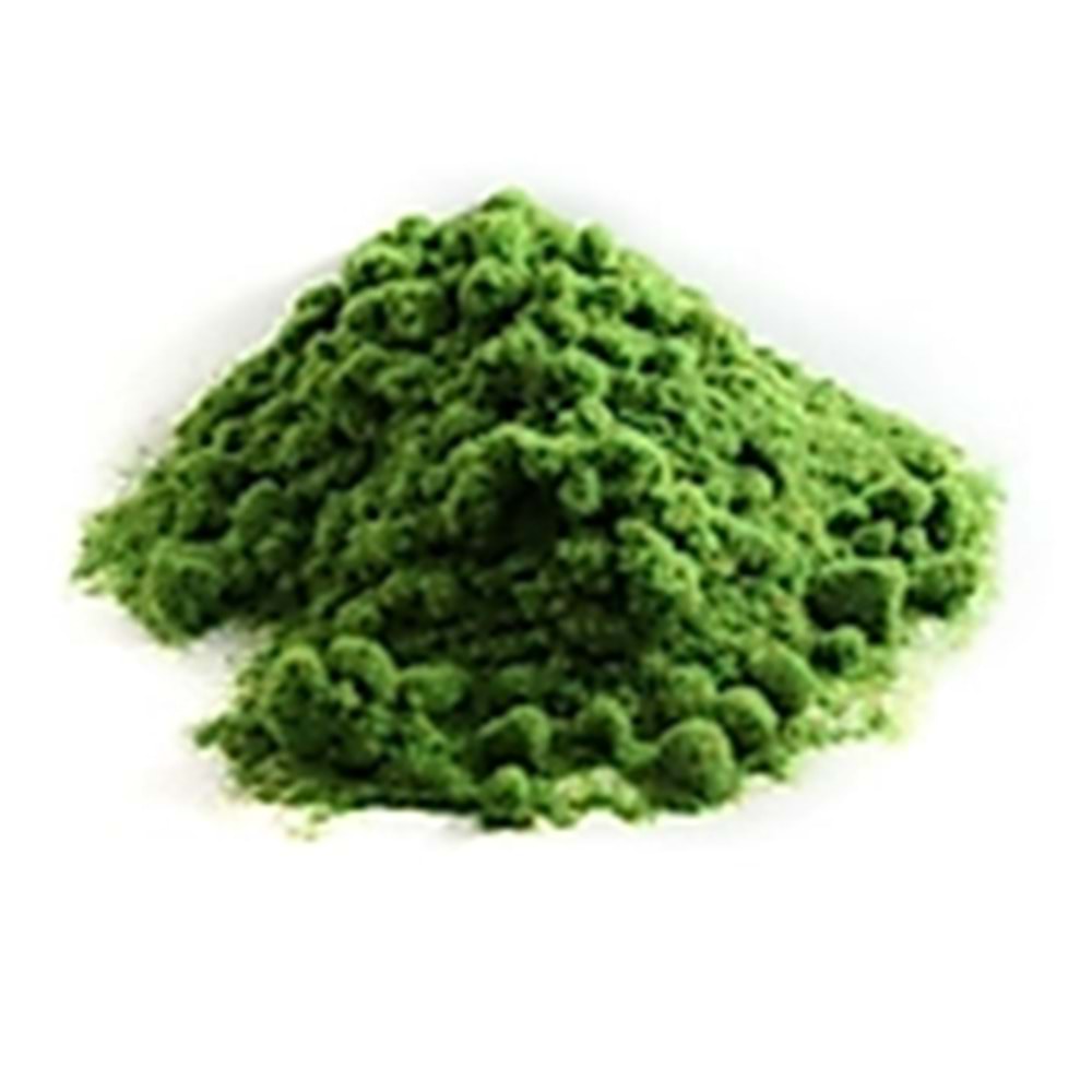 Toz Çim 25gr 502 Yeşil