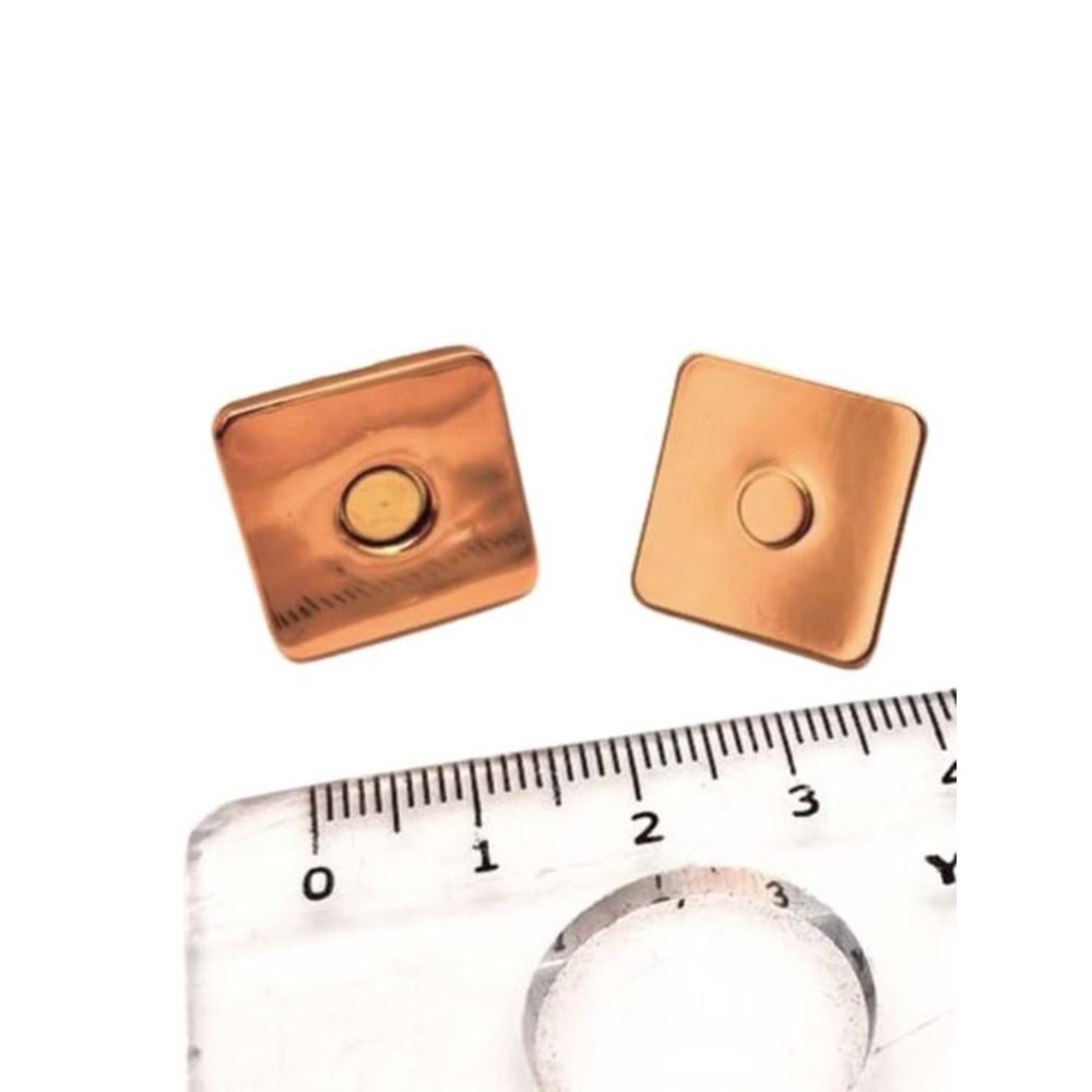 Çanta Aksesuar Kare Model Çanta Mıknatısı Light Gold Renk