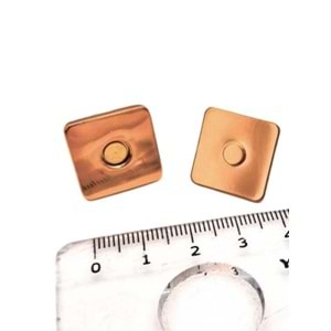 Çanta Aksesuar Kare Model Çanta Mıknatısı Light Gold Renk
