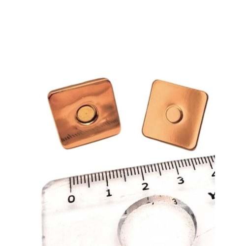 Çanta Aksesuar Kare Model Çanta Mıknatısı Light Gold Renk
